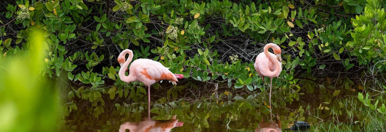 Western &amp; Southern Islands Cruise | Horizon Trimaran