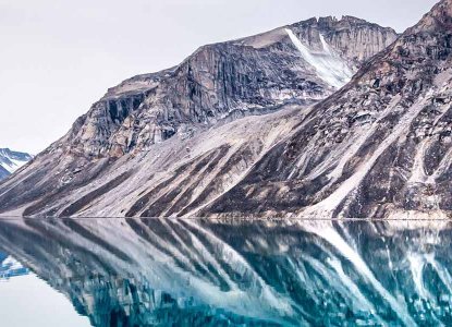 Penguins and Polar Bears