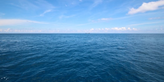 At Sea - Day 14 & 15