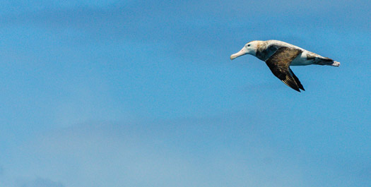 At Sea - Day 13 & 14