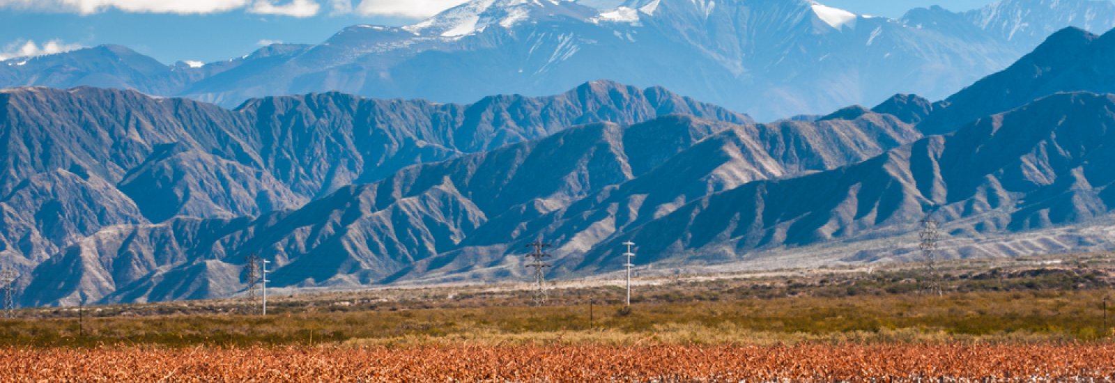 shutterstock_163185257