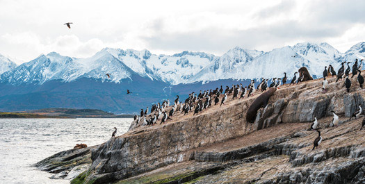 Disembarkation in Ushuaia