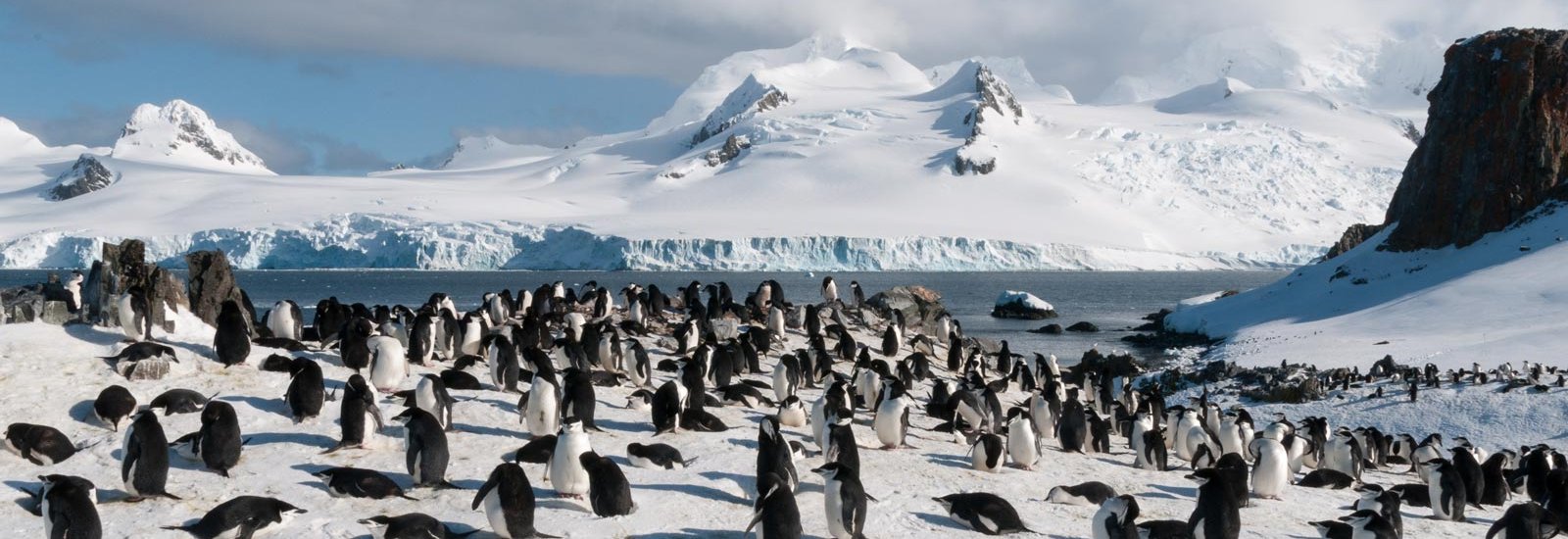 Spirit of Antarctica | Douglas Mawson