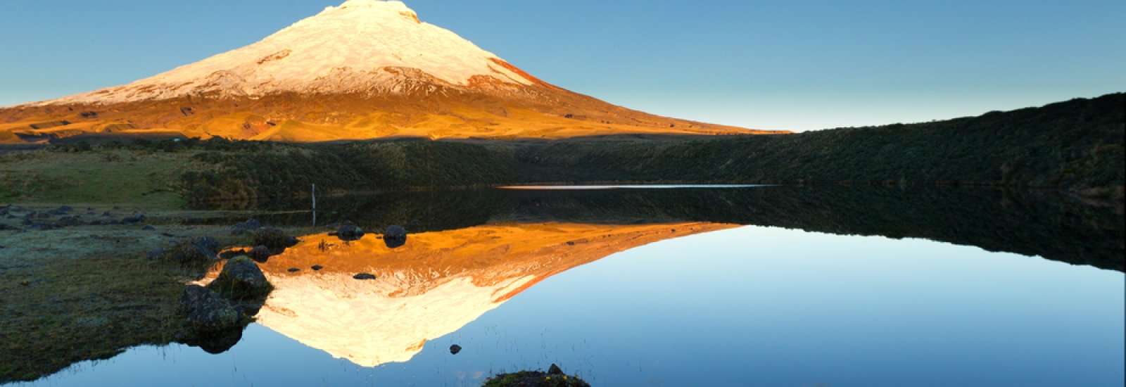 shutterstock_188401568