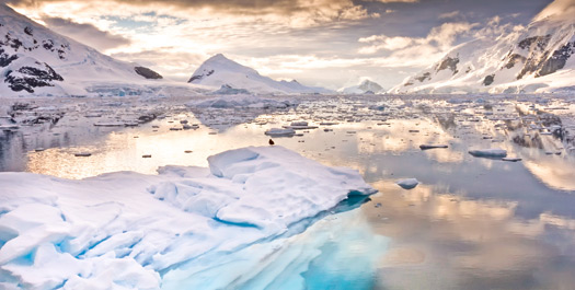 Experience Antarctica - Day 5 to 9