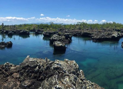 Isabela island's lava tunnels, Galapagos) 