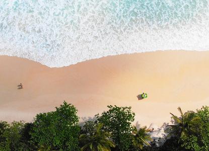 The Great Chimu Sale