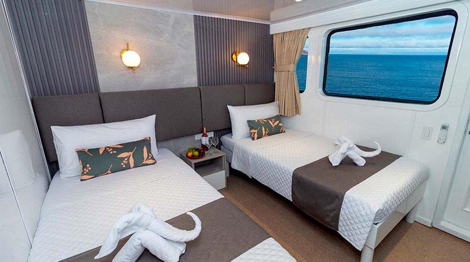 Galaxy Yacht Galapagos Islands Cruise - Main Deck Twin Cabin