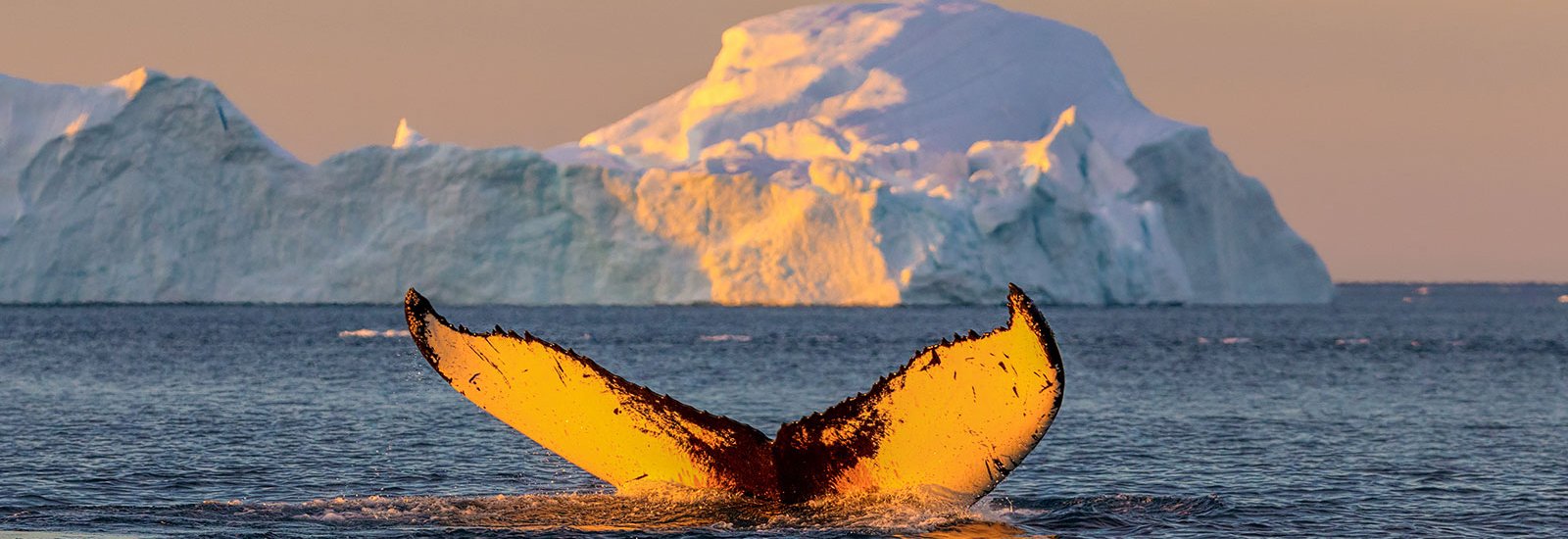 North Spitsbergen Basecamp | Ortelius
