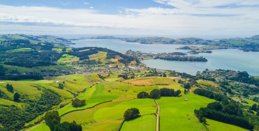 Disembark in Dunedin