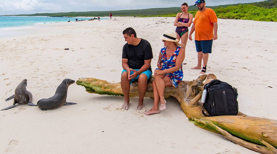 Monserrat Galapagos Cruise Ship - guest experience 