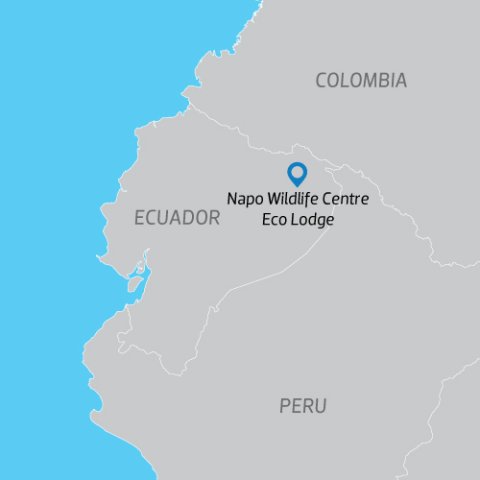 Napo%20paint%20resize11