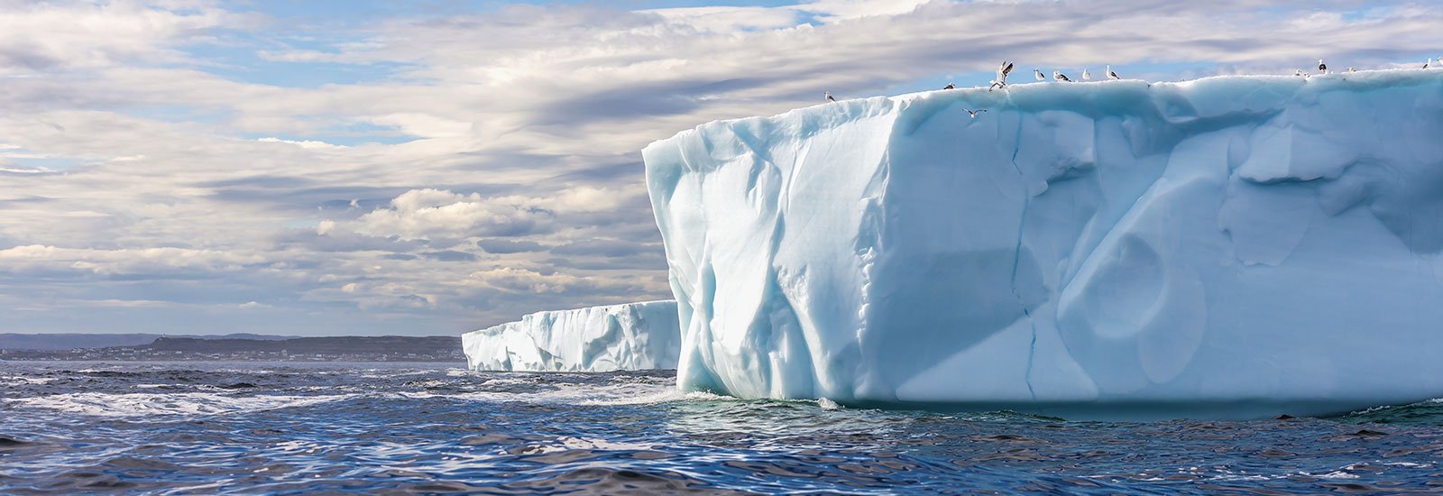 Remote Weddell Sea Explorer | Ortelius