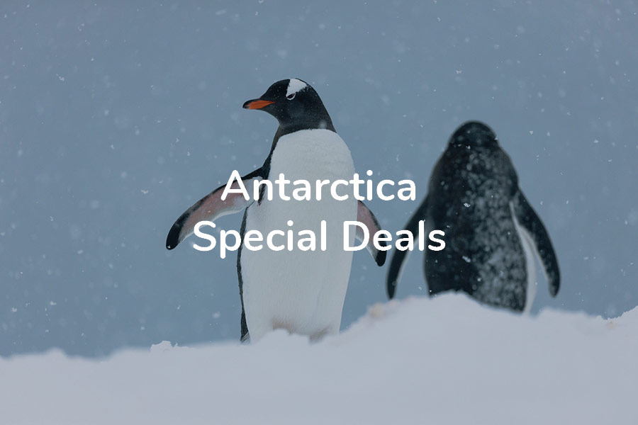  AntarcticaSpecialDeals 