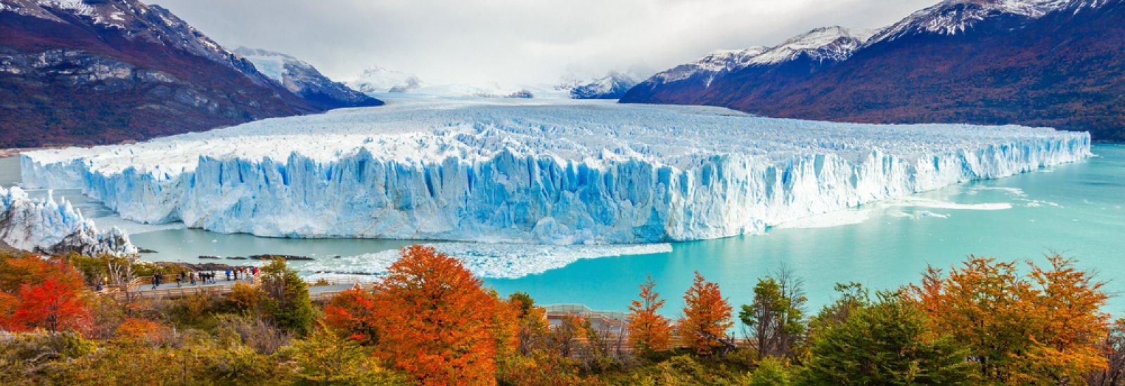 shutterstock_480460840-1