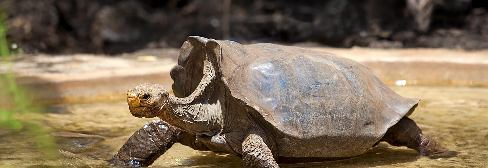 Hidden Jewels of the Western Islands - Cruise B | Sirius