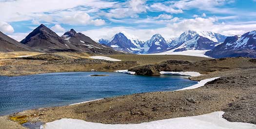 South Georgia - Day 12 to 16