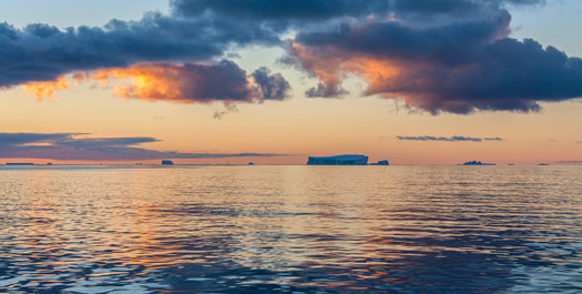 At Sea, Drake Passage - Day 12 & 13