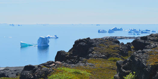 Northwest Greenland Expedition Cruising Days 5-6