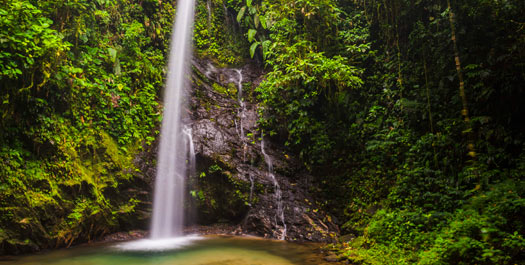 Activities at Mashpi Lodge