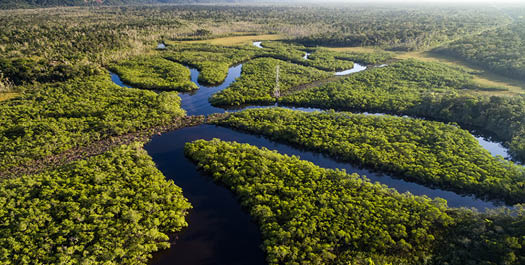 Arrival to Anavilhanas Jungle Lodge from Manaus