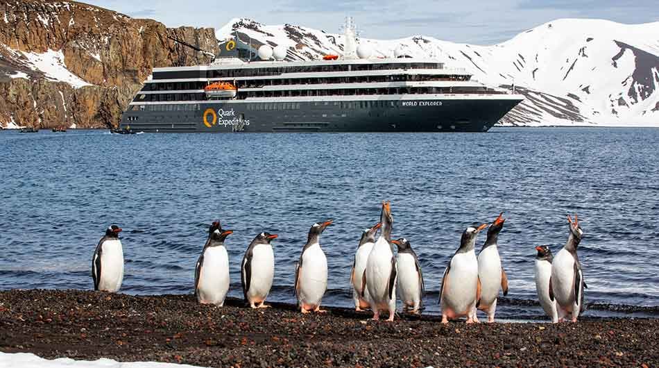 wex_exterior_penguins