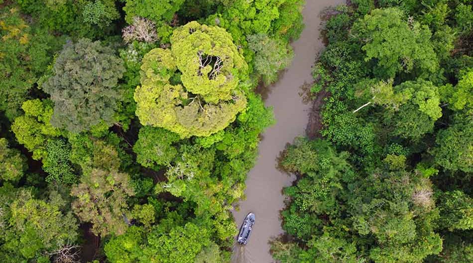 Amazon_Skiff-Excursion_11