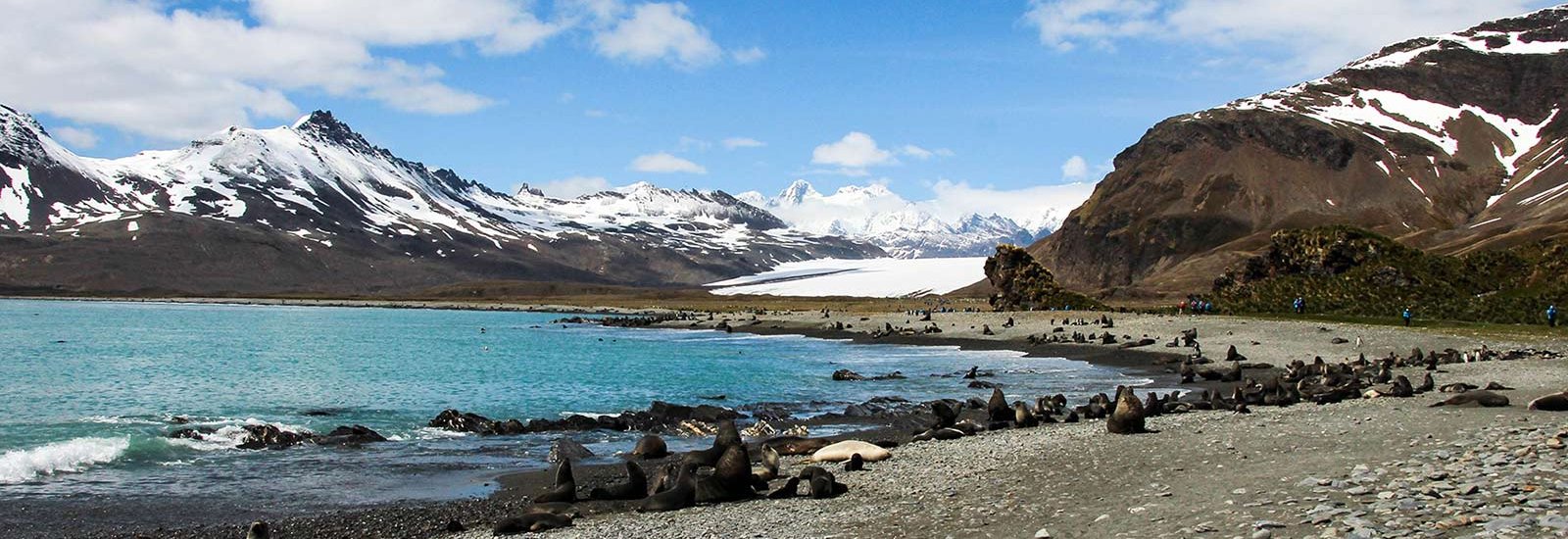 Antarctica &amp; South Georgia Air Cruise | Magellan Explorer