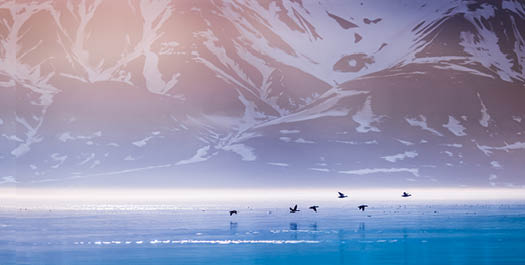 South-West region of Spitsbergen