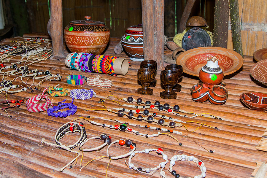 Community/Cultural Activity