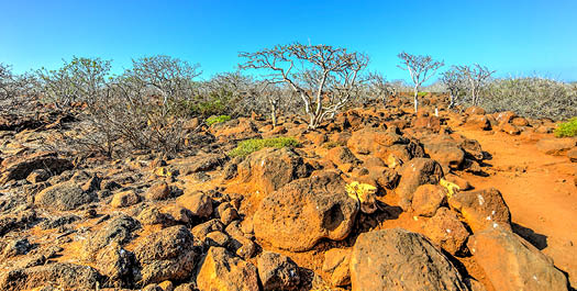 Depart Galapagos Islands