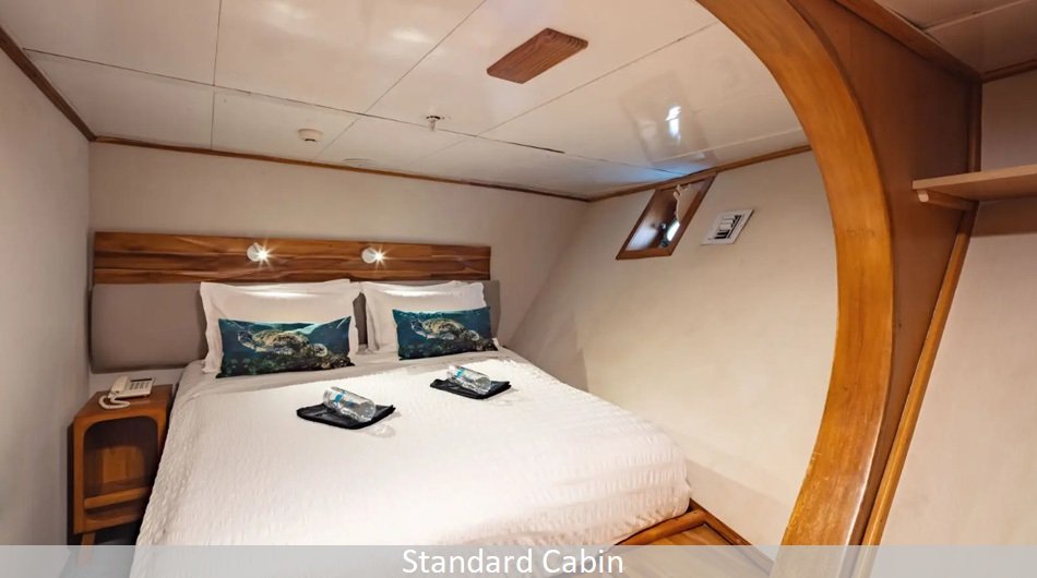Standard-cabin_0