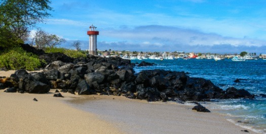 Fly to the Galapagos Islands