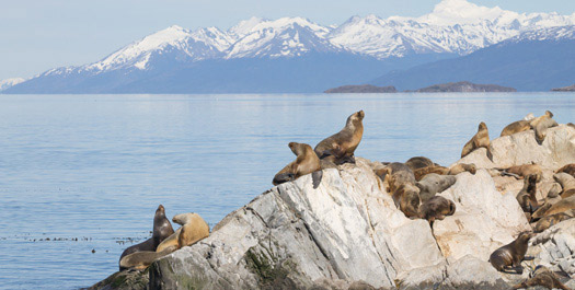 Disembarkation in Ushuaia