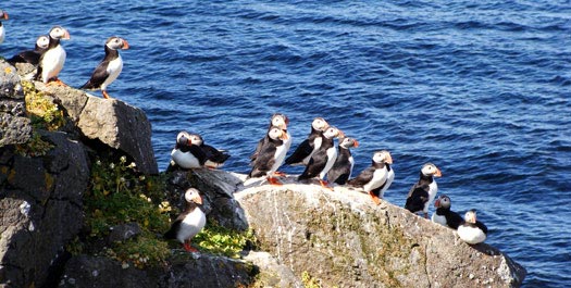 Northern Iceland - Day 6 to 8