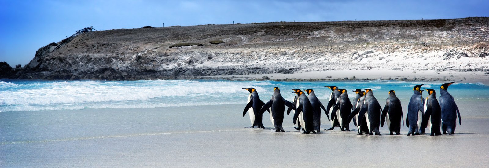 Journey to Austral Lands 2026 20 Days | L'Austral