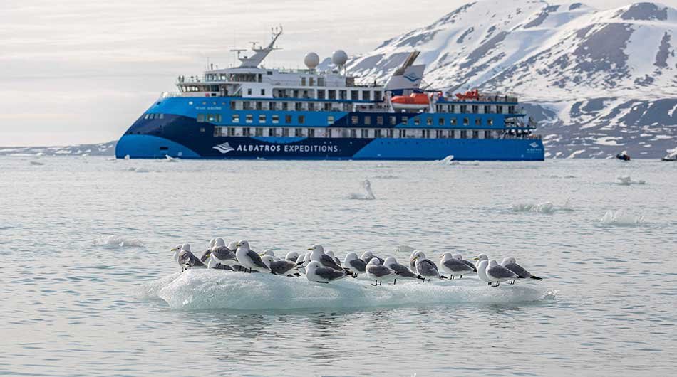 albatros-oa-ext-birds