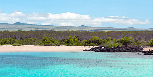 Eden Islet & North Seymour Island