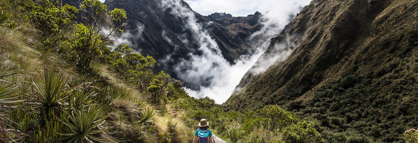 shutterstock_278990234