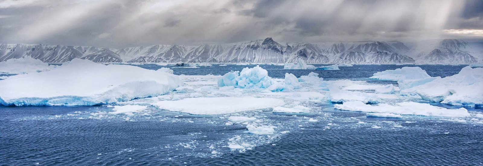 Weddell Sea Basecamp | Hondius