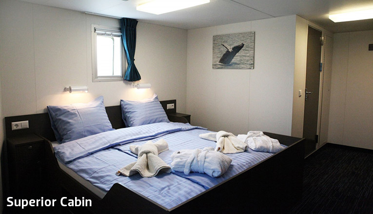 Ortelius Superior Cabin