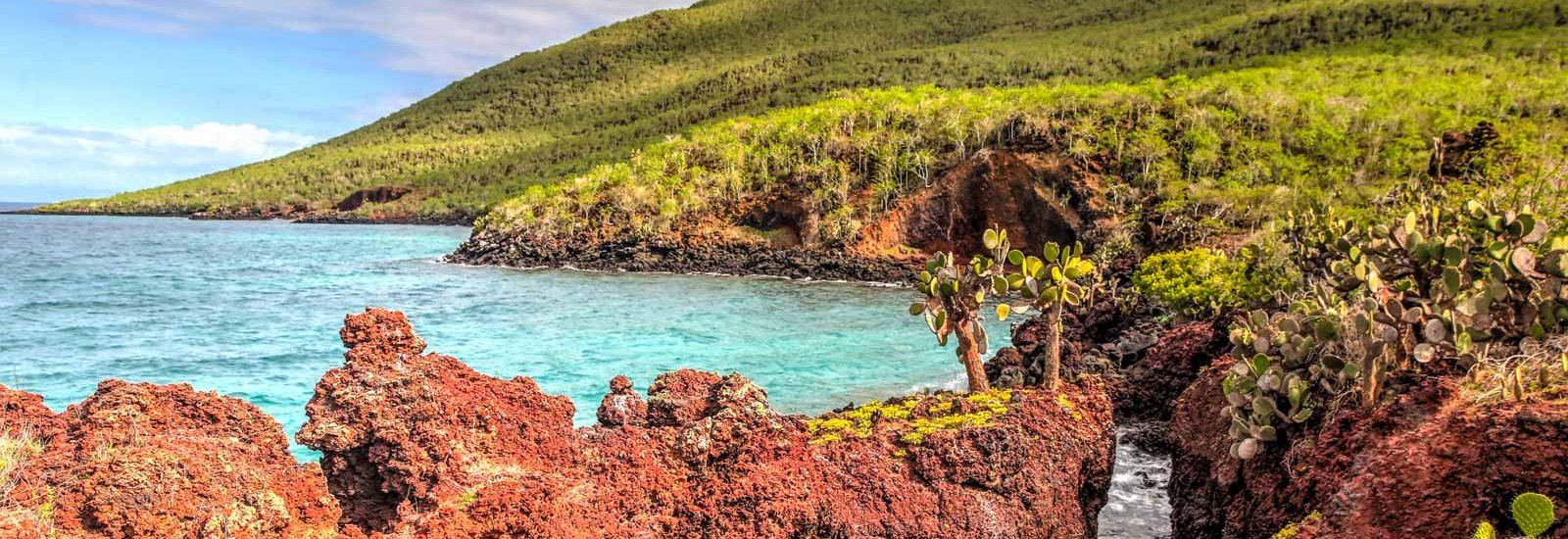 Galapagos Wildlife Discovery 5 days | Tribute