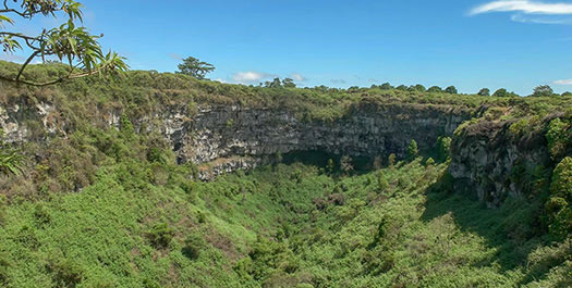 Baltra - Santa Cruz Highlands