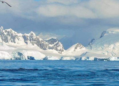 Whale fluke in icy Antarctic waters with snowy mountains in background) 