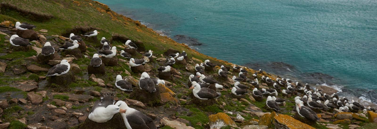 Great Austral Loop 26/27 | Le Lyrial