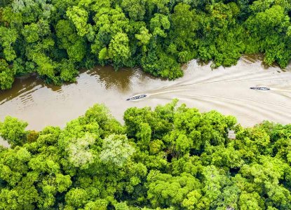 Aerial view of the Amazon River, Peru) 