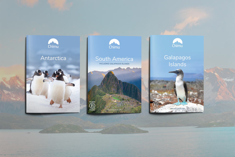  Cover-3x-A4-Brochure-Flaylay 