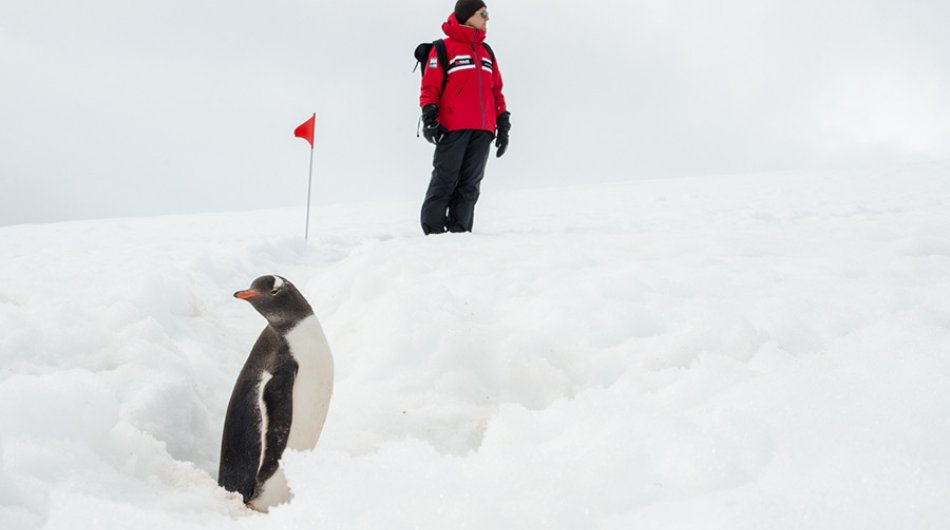 shore-excursions-antarctica3