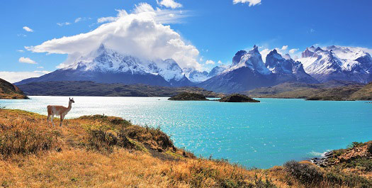 Puerto Natales and Torres Del Paine - Day 8 & 9