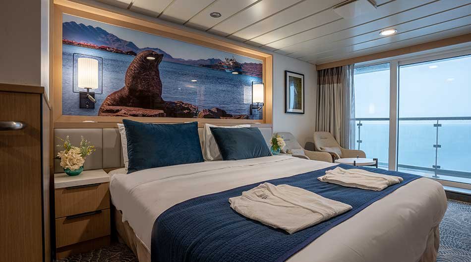 albatros-cabin-cat-c